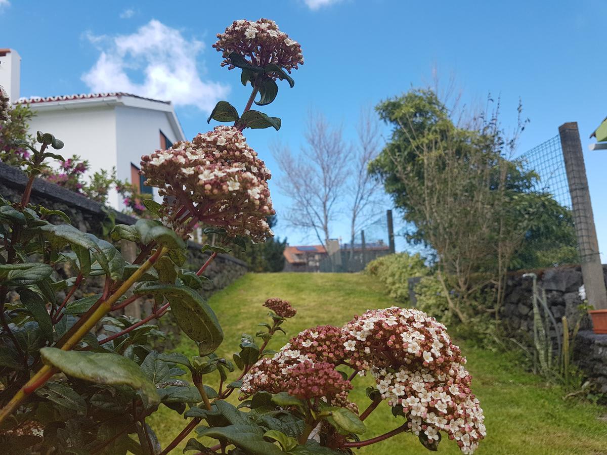 Stonewood Lodge Al São Vicente Ferreira エクステリア 写真